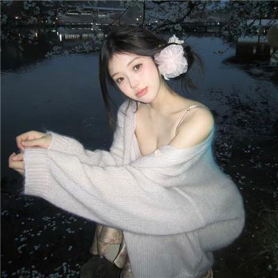 他是龙国语